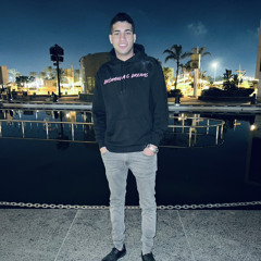 Hossam Wael