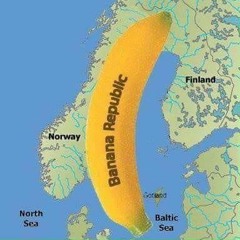 Gino Young & The Bitcoins