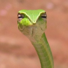 asahtuto