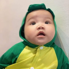 đạt long vinh lofi