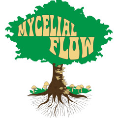 MycelialFlow🍁🌻🌞🍄