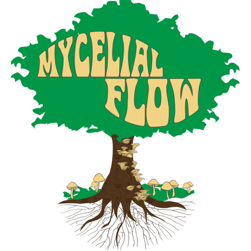 MycelialFlow🍁🌻🌞🍄’s avatar