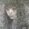 Hallucination