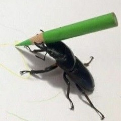 bet c