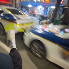진도윤님
