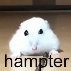 Bean