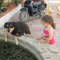 vioo