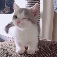 み