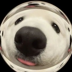 정은