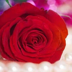 ❤    أَفخَرُ بِأَنِّي مُسلِم.   ❤