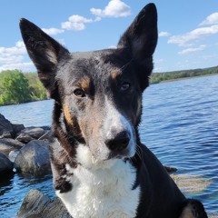 Виталий Литвиненко