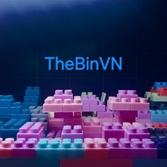 TheBinVN