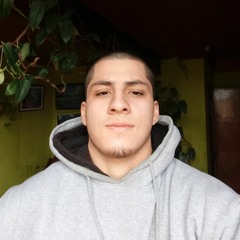 🗿🌴 Fabrizio Meza Lértora 🌴🗿