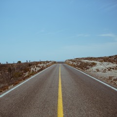 SLOWTIDE Pussy the cat