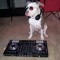 DJ CASEY NIMROD