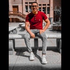 Mohamed N El Dine