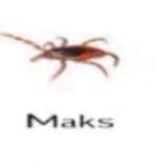 Maks_Klesch