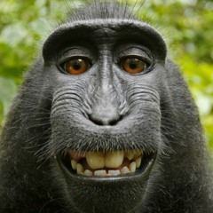 abazaba
