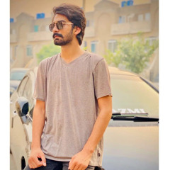 Ali Husnain Malik