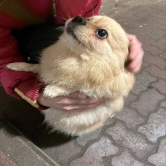 александр951