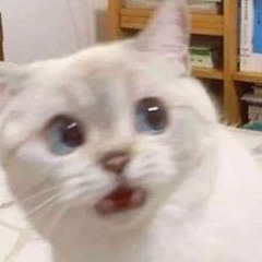 Gxtouune
