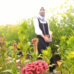 Ida Damayanti