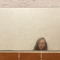 HEADFOG