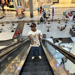BigTDawg