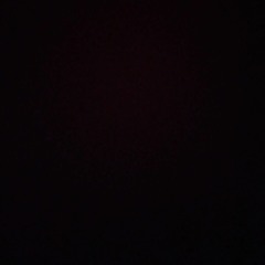 🖤💣Woolsey is one that ☠🤍i