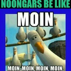 kingo