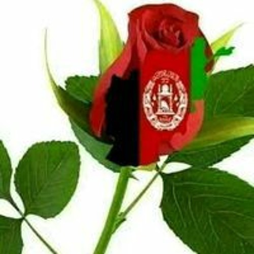 محمدحسین محمدی’s avatar