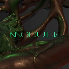 MODULE