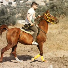 Izz Dabous