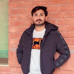 Hasnain Bodla