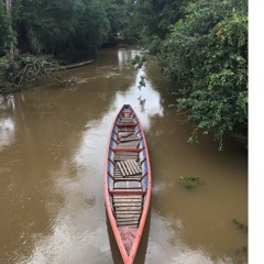 Rios y Reconciliación Amazonia Estéreo
