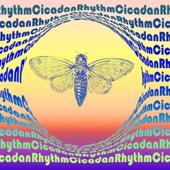 Cicadan Rhythm