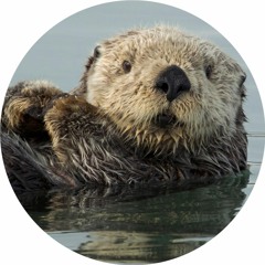 otterdubz