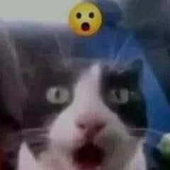 xxxxxm