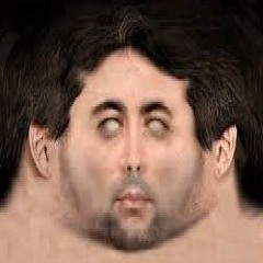 Floccinaucinihilipilification