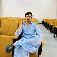Amir Raees