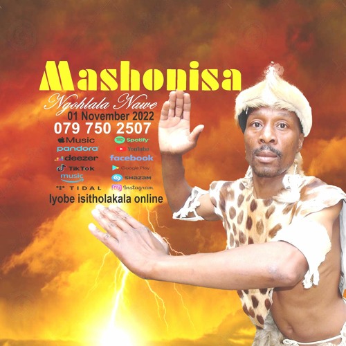 Mashonisa maskandi music’s avatar
