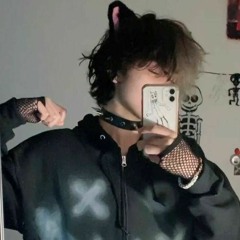A lonely cat
