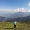 Anshuya