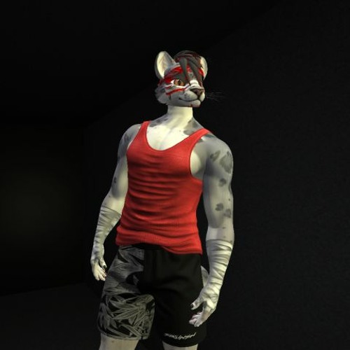 The Phantom Cat (2022 mix)