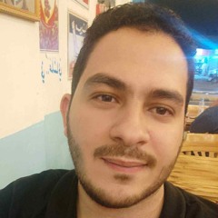 محمد عبد الحكيم