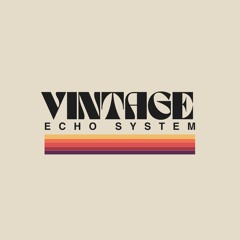 Vintage Echo System