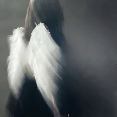 angel32