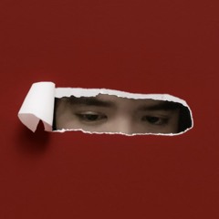 Ng Hoang Son.