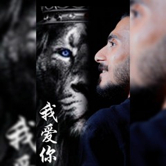 Ahmed Hamdy