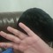 n0tarham